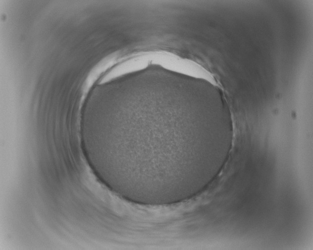 X0000056320006200509092314