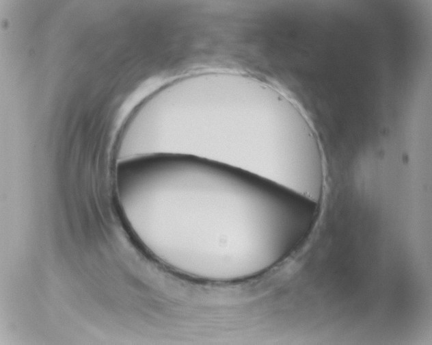 X0000056320008200509092314