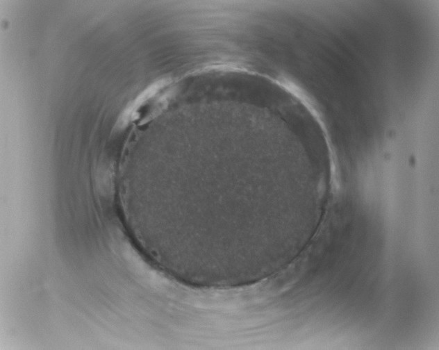 X0000056320009200509092314