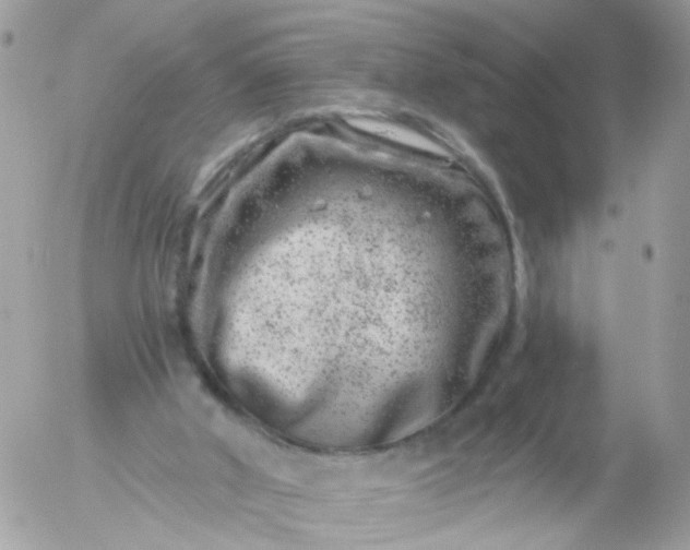 X0000056320010200509092314