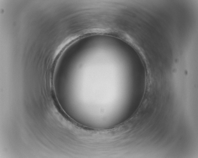 X0000056320011200509092314