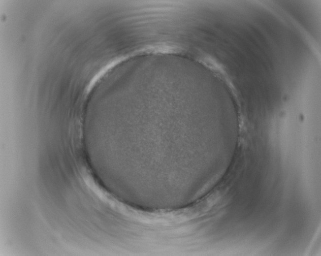 X0000056320012200509092314