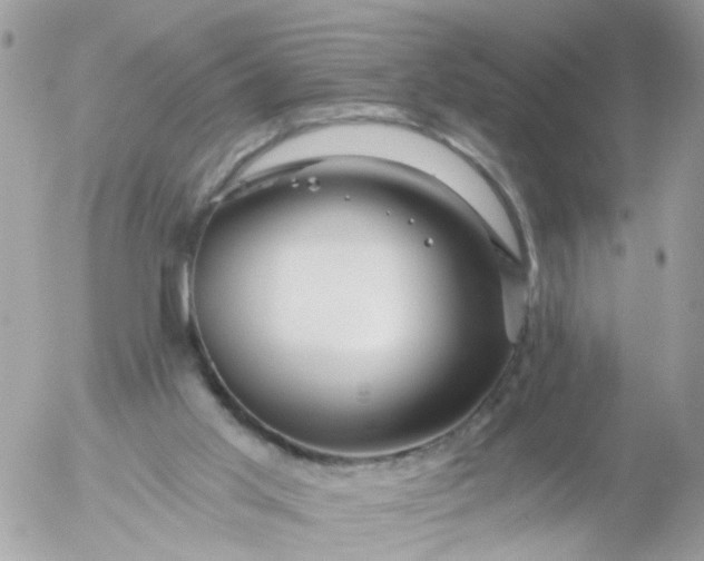 X0000056320013200509092314