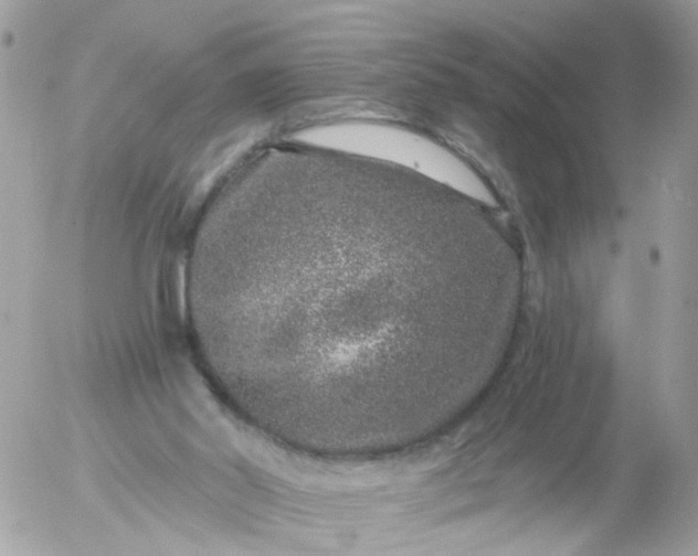 X0000056320014200509092314