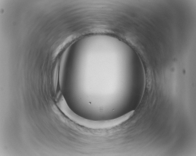 X0000056320015200509092314