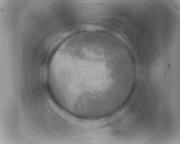 X0000056320016200509092314