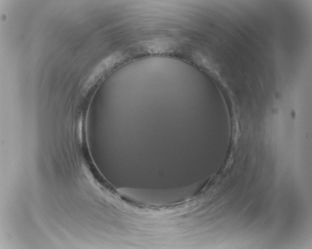 X0000056320019200509092314