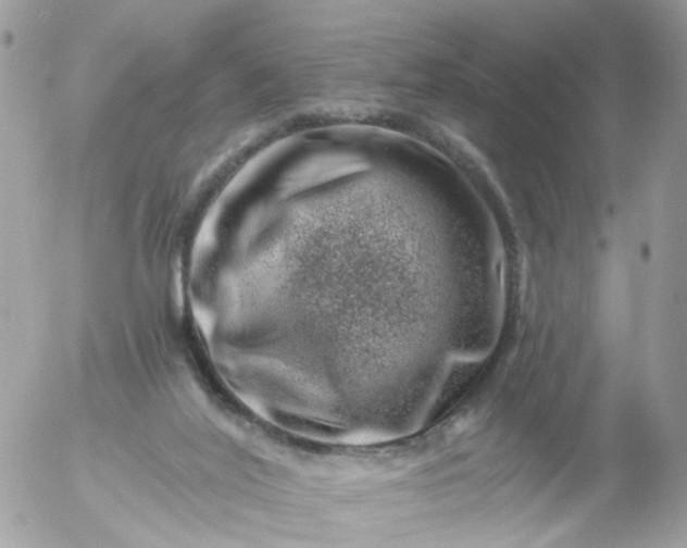 X0000056320020200509092314