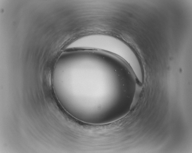 X0000056320021200509092314