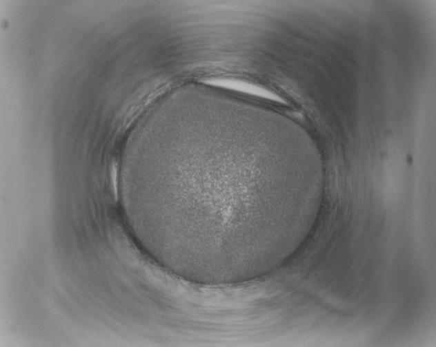 X0000056320022200509092314