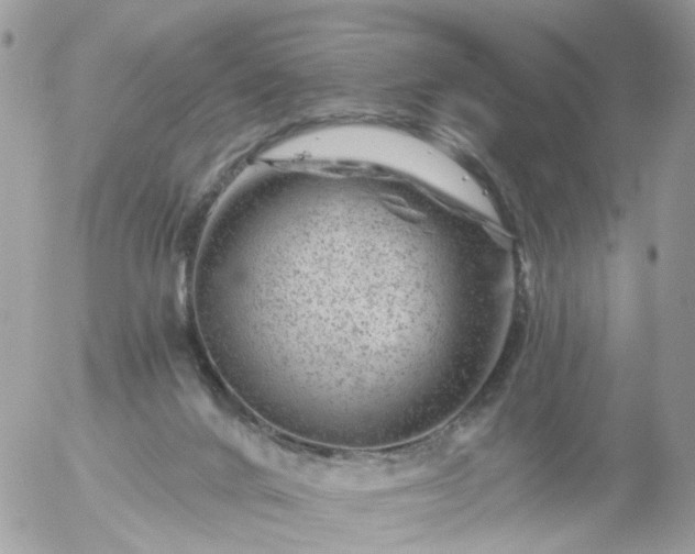 X0000056320024200509092314