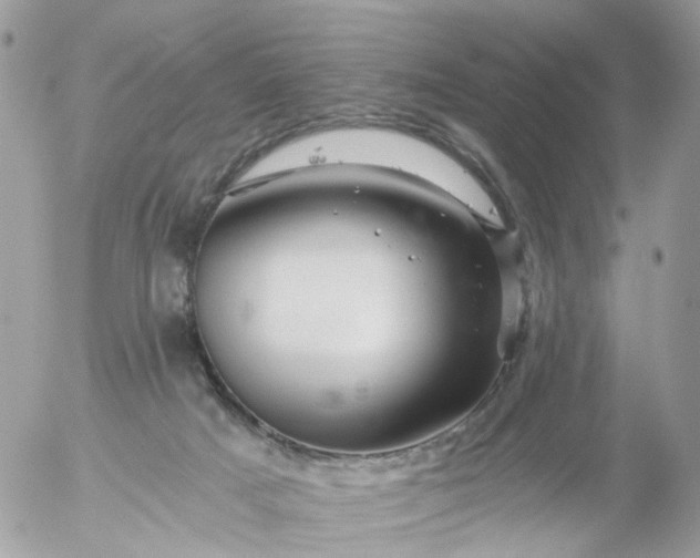 X0000056320025200509092314