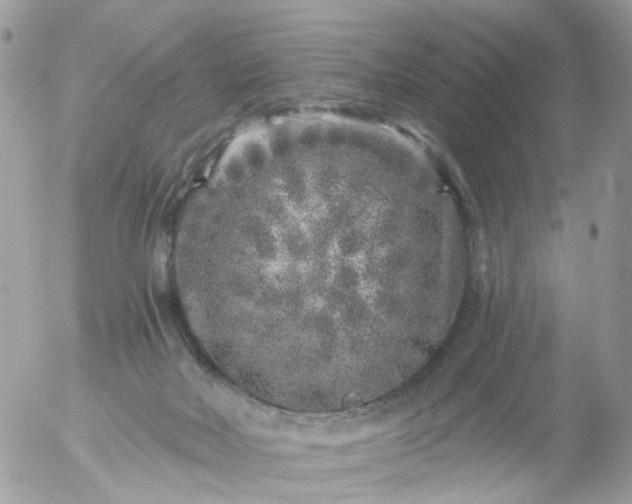 X0000056320026200509092314