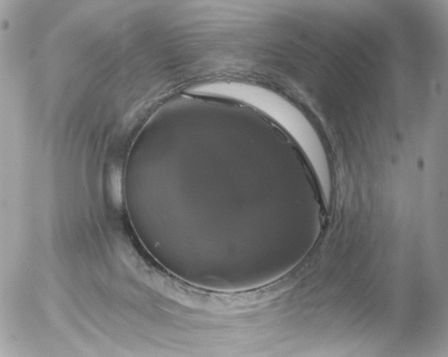 X0000056320027200509092314