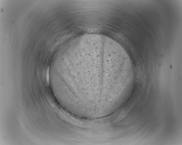 X0000056320028200509092314