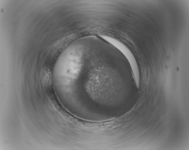 X0000056320029200509092314