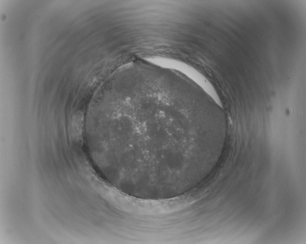 X0000056320030200509092314