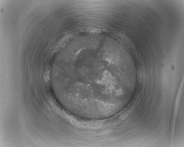 X0000056320032200509092314