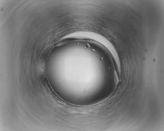 X0000056320033200509092314