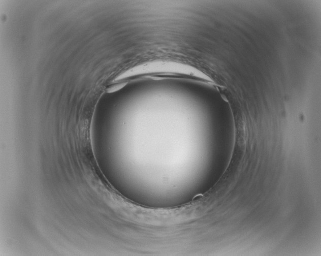 X0000056320034200509092314