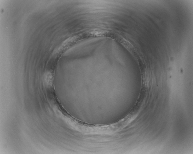 X0000056320036200509092314