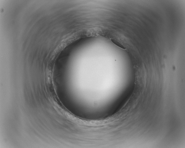 X0000056320038200509092314