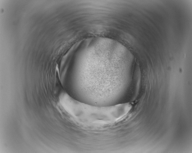 X0000056320040200509092314