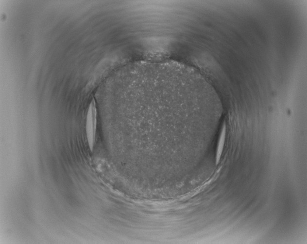 X0000056320041200509092314