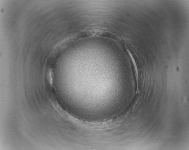 X0000056320042200509092314