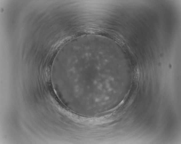 X0000056320043200509092314