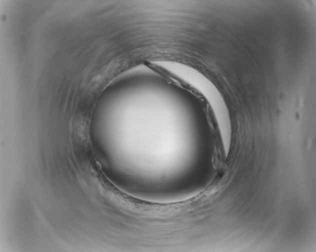 X0000056320044200509092314