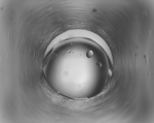 X0000056320045200509092314