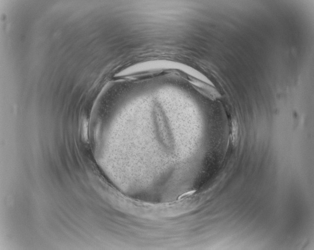 X0000056320046200509092314