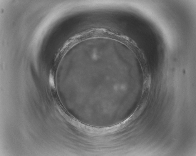 X0000056320047200509092314