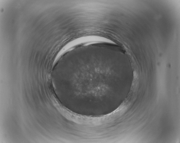 X0000056320048200509092314