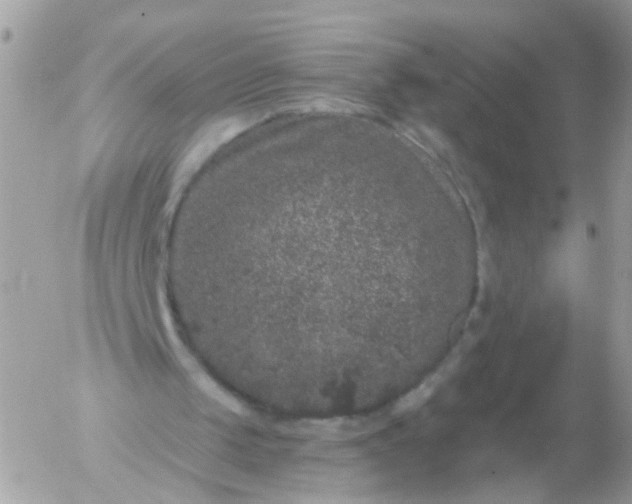 X0000056320049200509092313