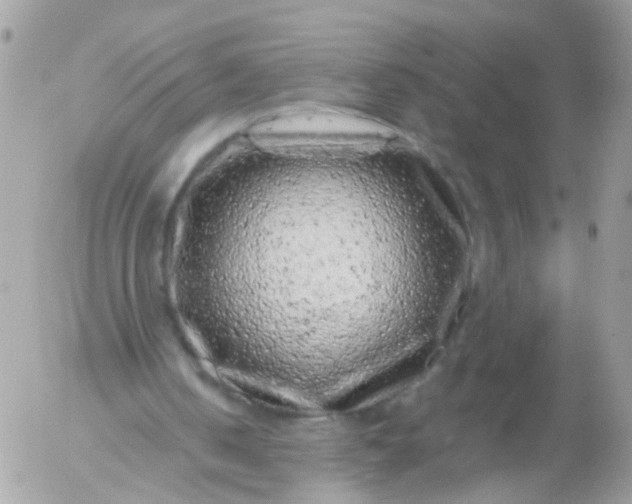 X0000056320050200509092313