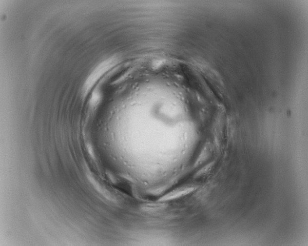 X0000056320051200509092313