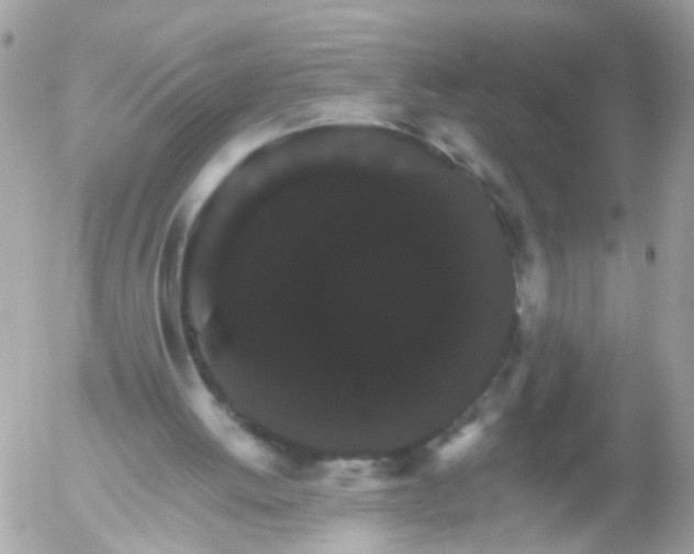 X0000056320052200509092313