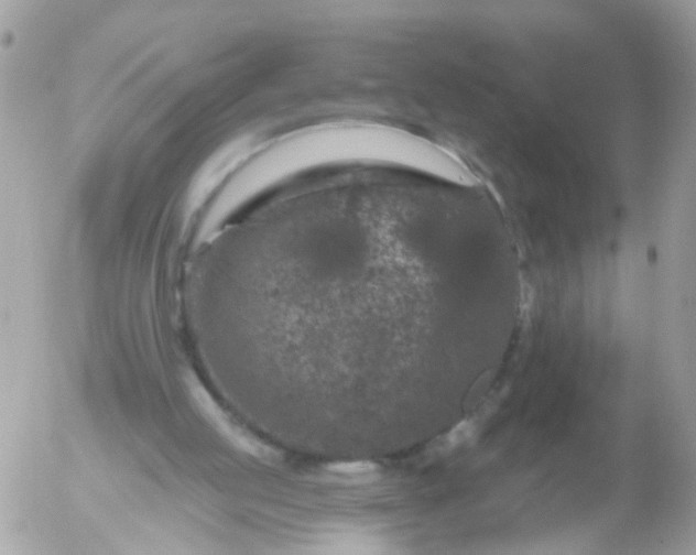 X0000056320053200509092313