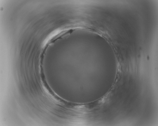 X0000056320054200509092313