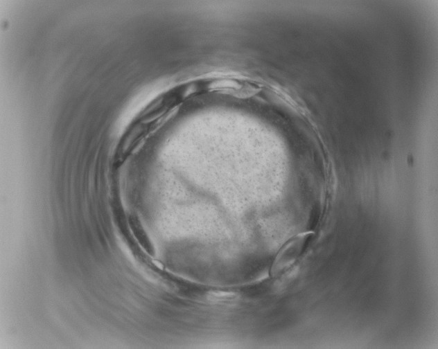 X0000056320055200509092313