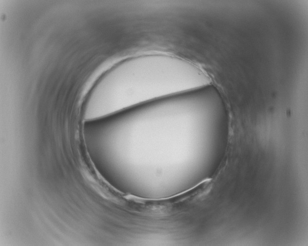 X0000056320056200509092313