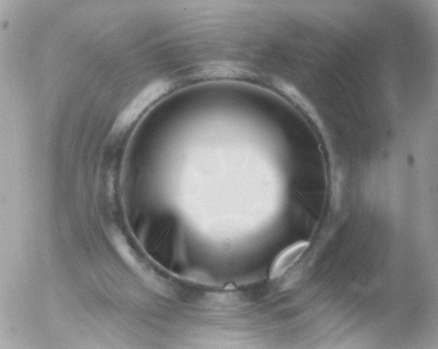 X0000056320057200509092313