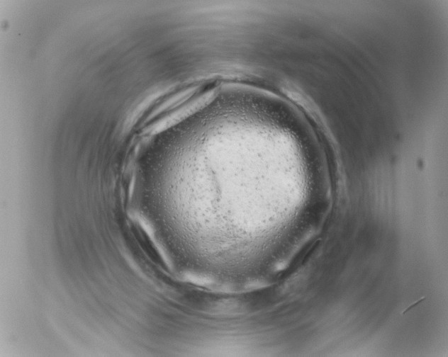 X0000056320058200509092313