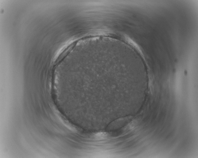 X0000056320059200509092313