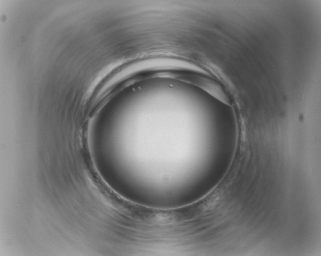 X0000056320060200509092313