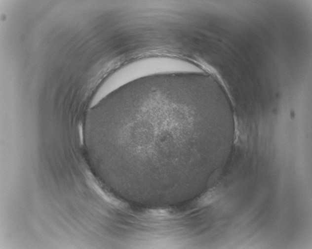 X0000056320061200509092313