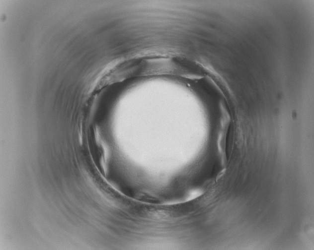 X0000056320062200509092313