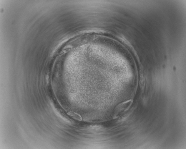 X0000056320063200509092313